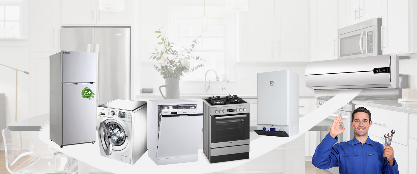 Hanak Electrolux Servisi